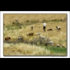 Paesaggio                0016 C.jpg